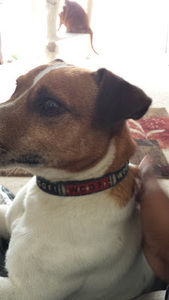 Meet your Posher, Jaylen424